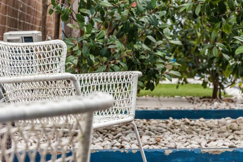Inlapa Studio IV Porto Garden View Zewnętrze zdjęcie